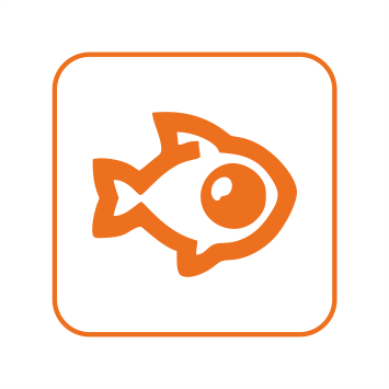 Модуль развертки изображения FishEye-камер — оборудование СТК Томск